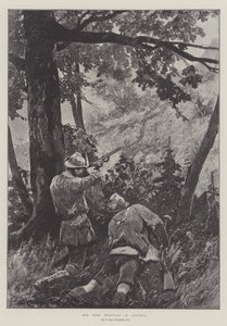 獐鹿在奥地利射击